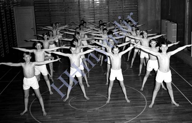 &iacute;&thorn;r.19.4